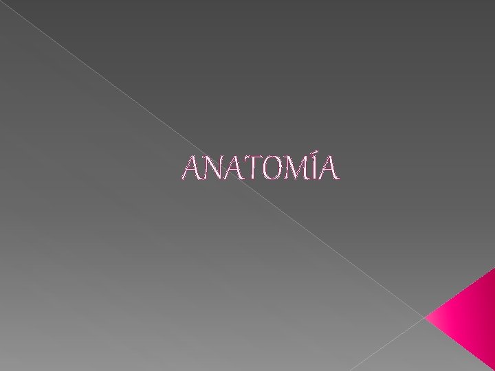 ANATOMÍA 