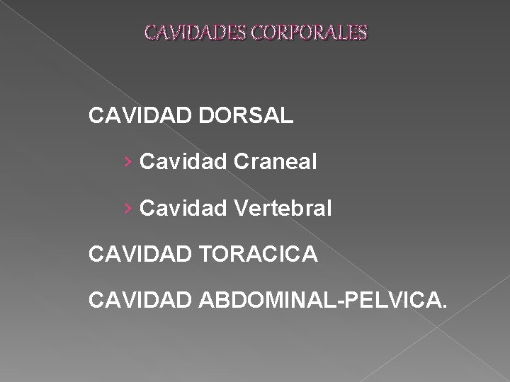 CAVIDADES CORPORALES CAVIDAD DORSAL › Cavidad Craneal › Cavidad Vertebral CAVIDAD TORACICA CAVIDAD ABDOMINAL-PELVICA.