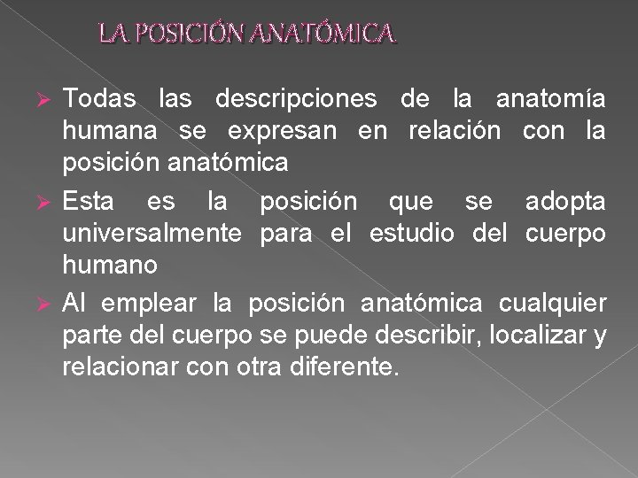 LA POSICIÓN ANATÓMICA Todas las descripciones de la anatomía humana se expresan en relación