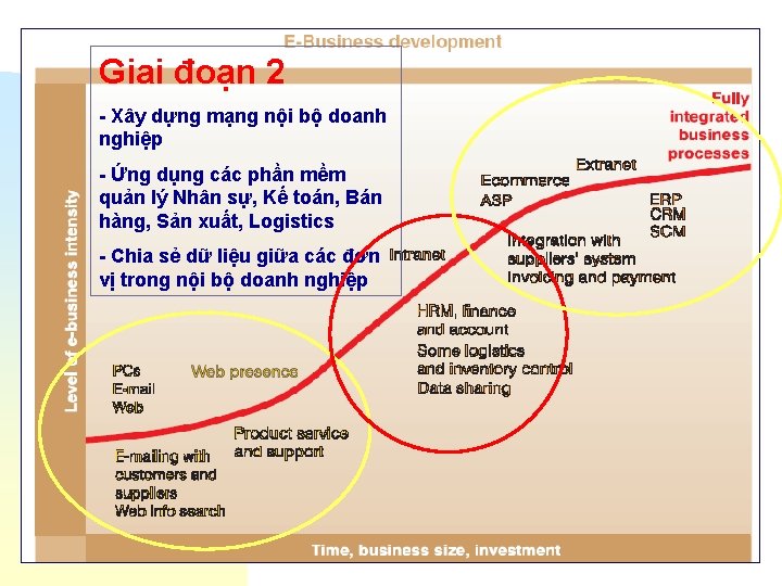 Giai đoạn 2 - Xây dựng mạng nội bộ doanh nghiệp - Ứng dụng