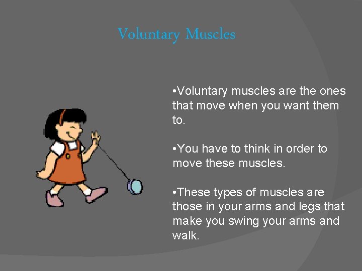 Voluntary Muscles • Voluntary muscles are the ones that move when you want them