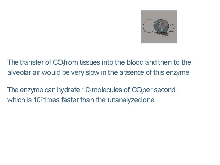 The transfer of CO 2 from tissues into the blood and then to the