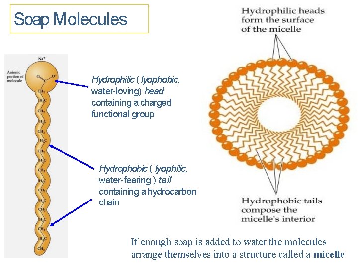 Soap Molecules Hydrophilic ( lyophobic, water-loving) head containing a charged functional group Hydrophobic (