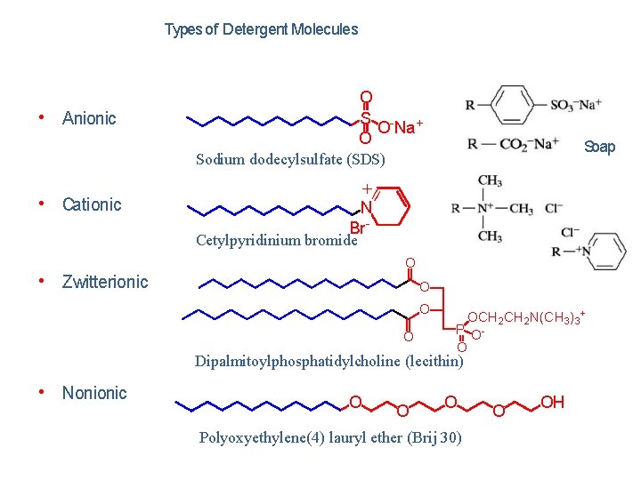 Types of Detergent Molecules O S - + O Na O • Anionic Soap