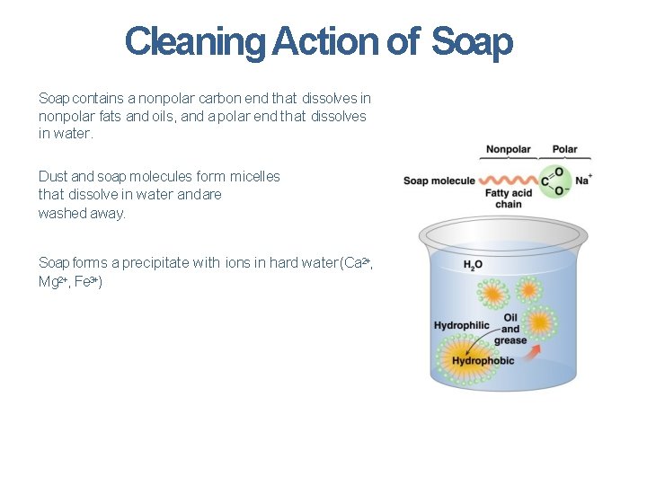 Cleaning Action of Soap contains a nonpolar carbon end that dissolves in nonpolar fats