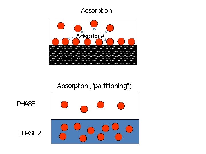 Adsorption Adsorbate Adsorbent Absorption (“partitioning”) PHASE I PHASE 2 