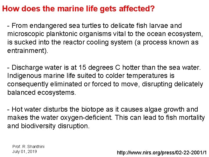 How does the marine life gets affected? - From endangered sea turtles to delicate