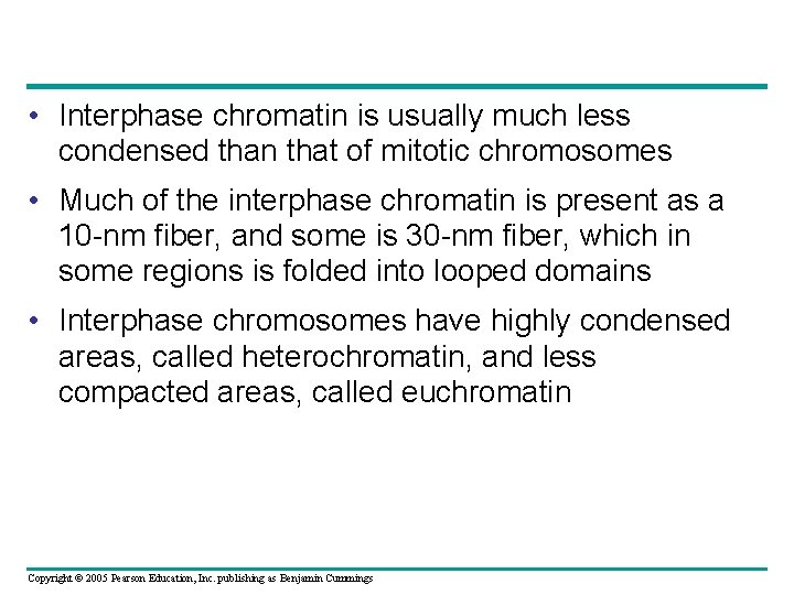  • Interphase chromatin is usually much less condensed than that of mitotic chromosomes