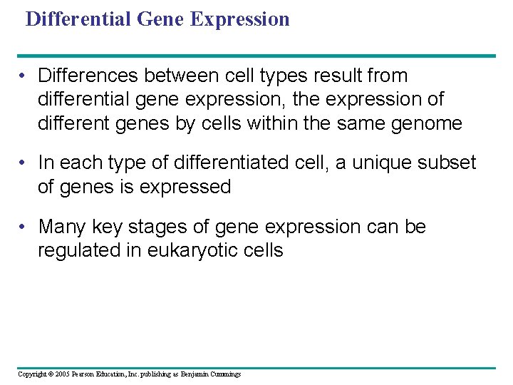 Differential Gene Expression • Differences between cell types result from differential gene expression, the