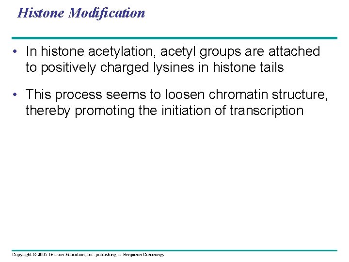 Histone Modification • In histone acetylation, acetyl groups are attached to positively charged lysines