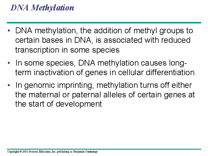 DNA Methylation • DNA methylation, the addition of methyl groups to certain bases in