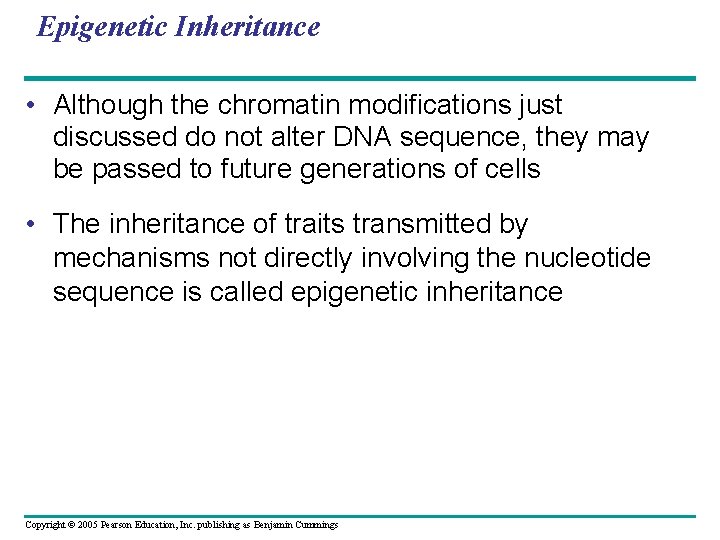 Epigenetic Inheritance • Although the chromatin modifications just discussed do not alter DNA sequence,