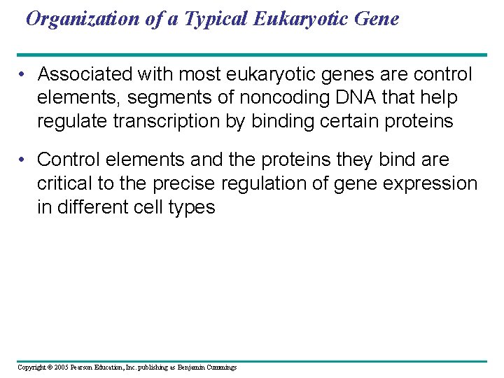 Organization of a Typical Eukaryotic Gene • Associated with most eukaryotic genes are control