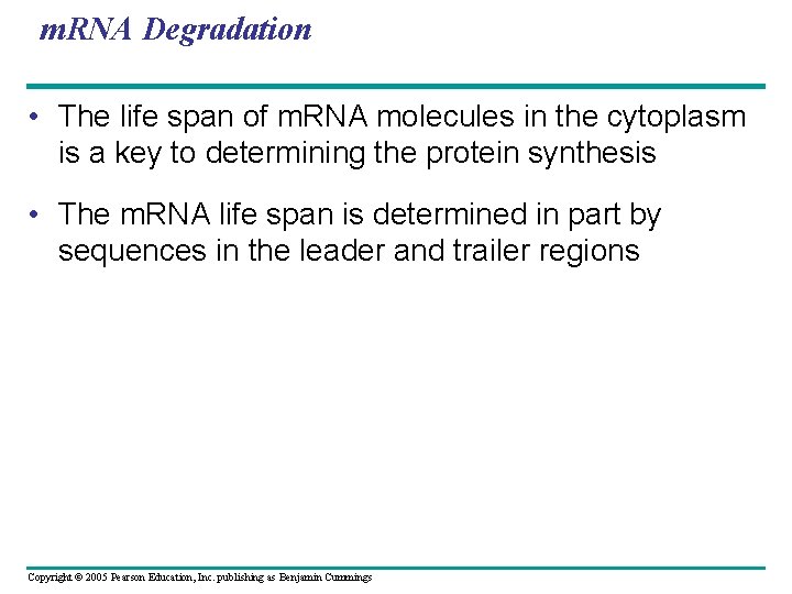 m. RNA Degradation • The life span of m. RNA molecules in the cytoplasm