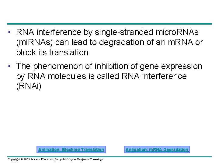  • RNA interference by single-stranded micro. RNAs (mi. RNAs) can lead to degradation