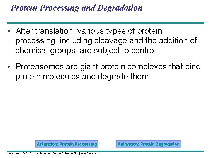 Protein Processing and Degradation • After translation, various types of protein processing, including cleavage