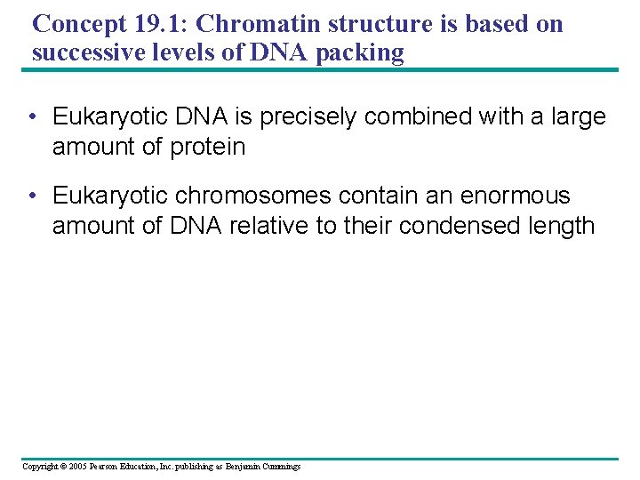 Concept 19. 1: Chromatin structure is based on successive levels of DNA packing •