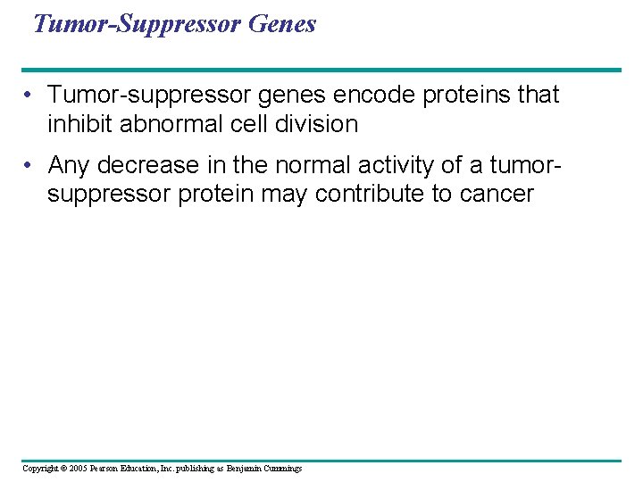 Tumor-Suppressor Genes • Tumor-suppressor genes encode proteins that inhibit abnormal cell division • Any