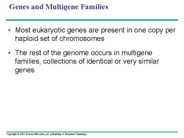 Genes and Multigene Families • Most eukaryotic genes are present in one copy per