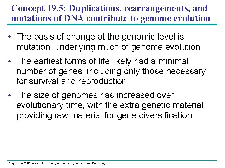 Concept 19. 5: Duplications, rearrangements, and mutations of DNA contribute to genome evolution •