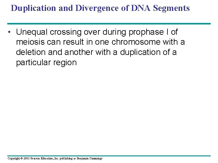 Duplication and Divergence of DNA Segments • Unequal crossing over during prophase I of