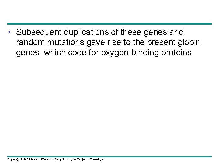  • Subsequent duplications of these genes and random mutations gave rise to the