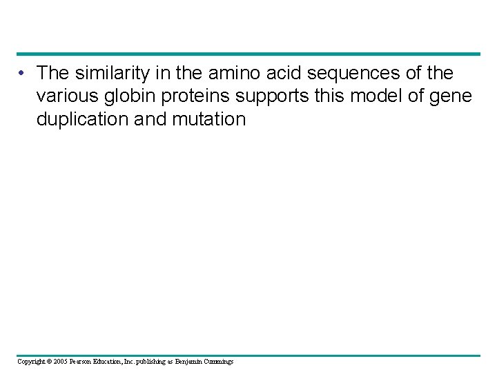  • The similarity in the amino acid sequences of the various globin proteins