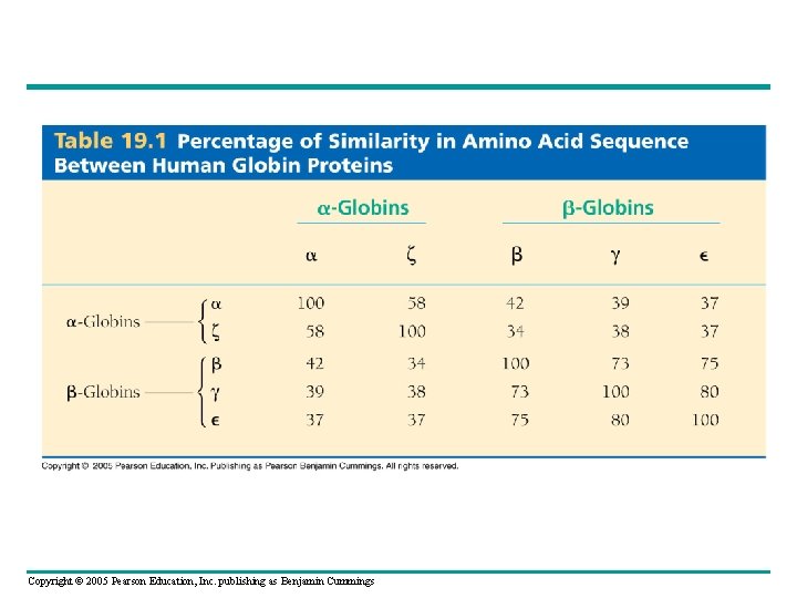 Copyright © 2005 Pearson Education, Inc. publishing as Benjamin Cummings 