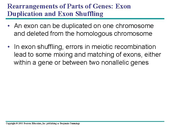 Rearrangements of Parts of Genes: Exon Duplication and Exon Shuffling • An exon can