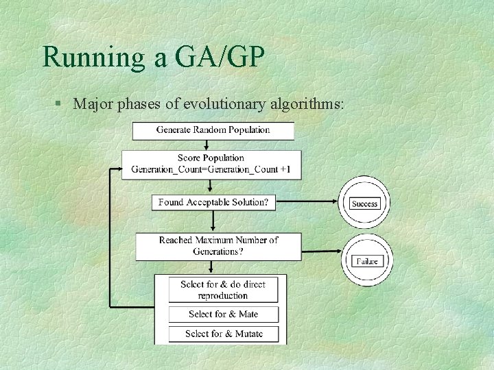 Running a GA/GP § Major phases of evolutionary algorithms: 