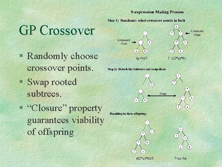 GP Crossover § Randomly choose crossover points. § Swap rooted subtrees. § “Closure” property