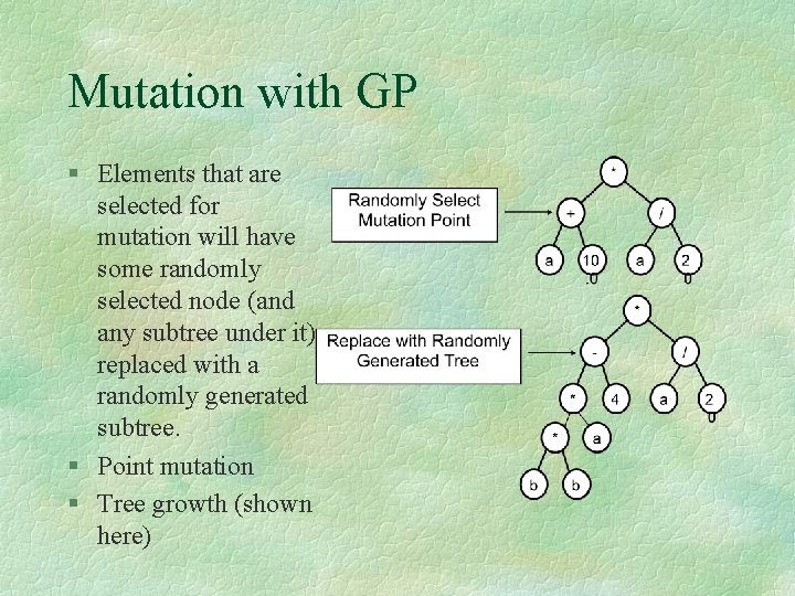 Mutation with GP § Elements that are selected for mutation will have some randomly