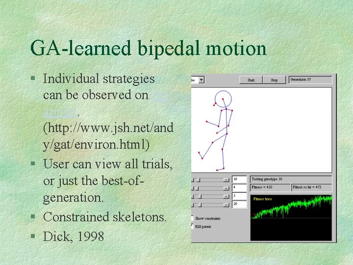 GA-learned bipedal motion § Individual strategies can be observed on the applet. (http: //www.