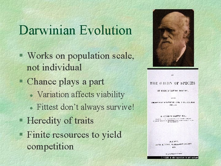 Darwinian Evolution § Works on population scale, not individual § Chance plays a part