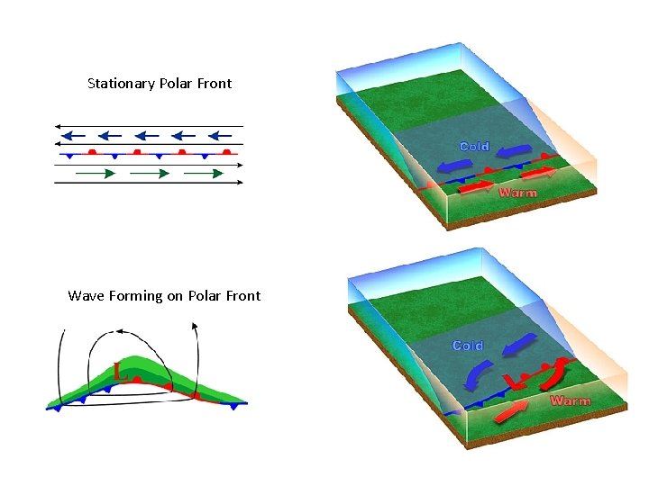Stationary Polar Front Wave Forming on Polar Front 