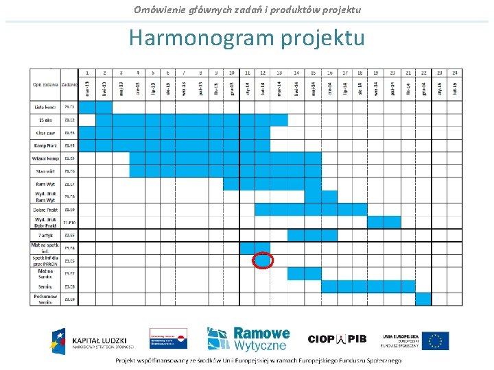 Omówienie głównych zadań i produktów projektu Harmonogram projektu 