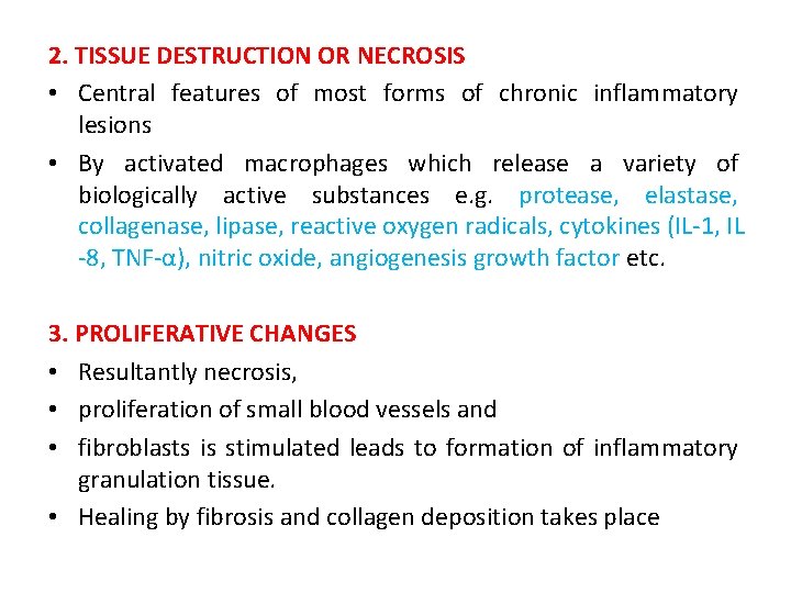 2. TISSUE DESTRUCTION OR NECROSIS • Central features of most forms of chronic inflammatory