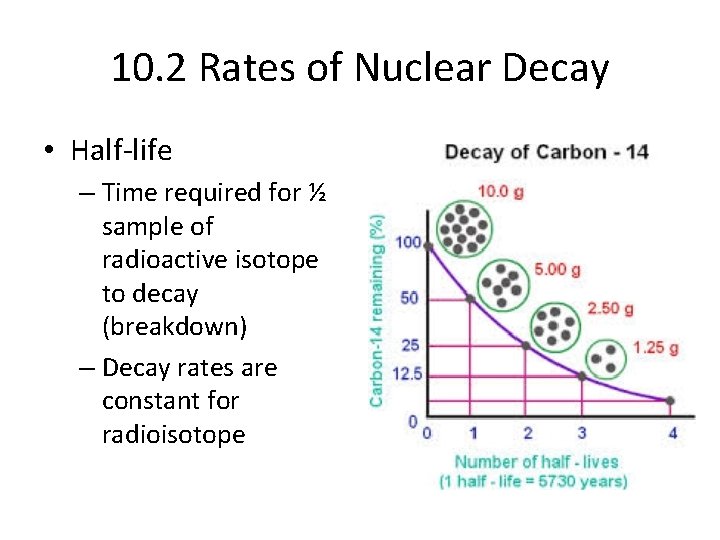 10. 2 Rates of Nuclear Decay • Half-life – Time required for ½ sample