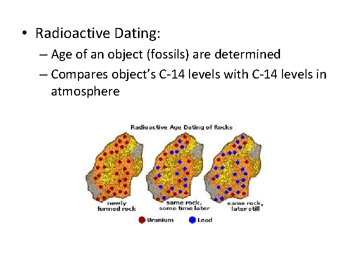  • Radioactive Dating: – Age of an object (fossils) are determined – Compares