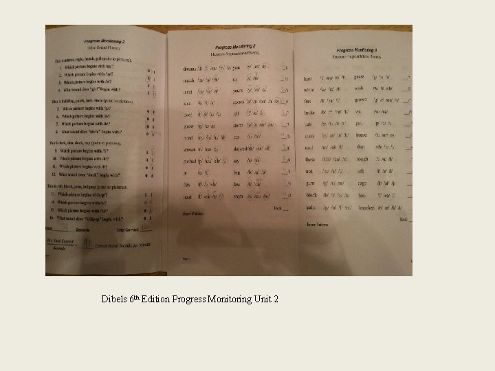 Dibels 6 th Edition Progress Monitoring Unit 2 