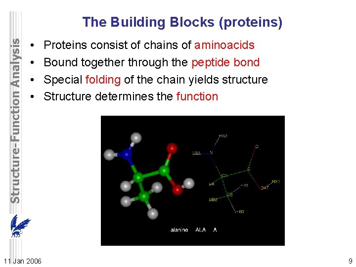 StructureFunction Analysis DNAProtein structurefunction analysis and ...
