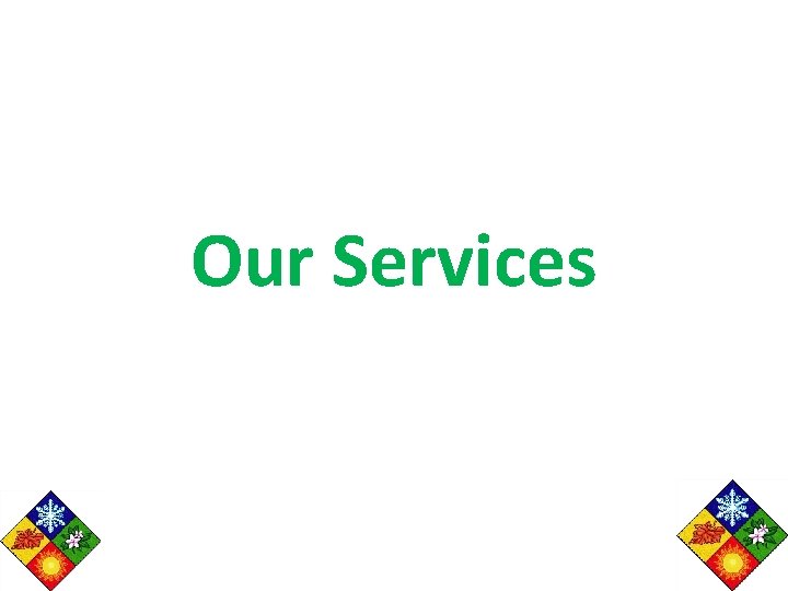 Our Services 