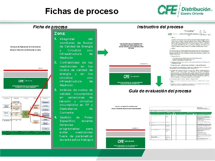 Fichas de proceso Ficha de proceso Instructivo del proceso Zona: 1. Integridad del monitoreo