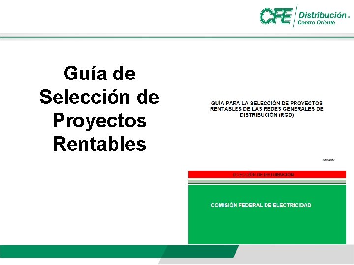 Guía de Selección de Proyectos Rentables 