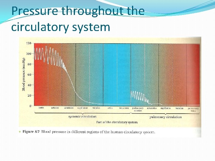 Pressure throughout the circulatory system Pressure throughout the circulatory system