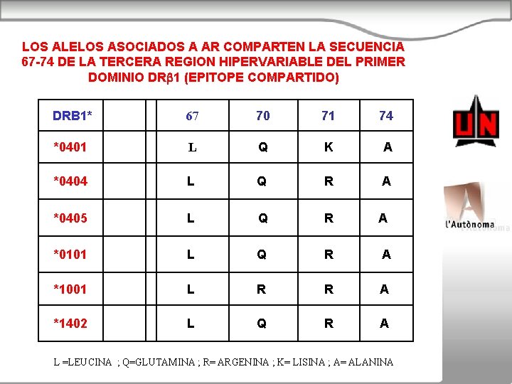 LOS ALELOS ASOCIADOS A AR COMPARTEN LA SECUENCIA 67 -74 DE LA TERCERA REGION