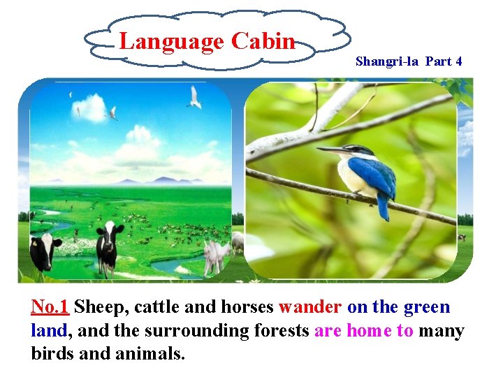 Language Cabin Shangri-la Part 4 No. 1 Sheep, cattle and horses wander on the