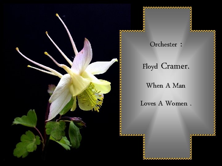 Orchester : Floyd Cramer. When A Man Loves A Women. 