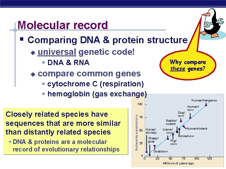 Molecular record § Comparing DNA & protein structure u universal genetic code! Why compare