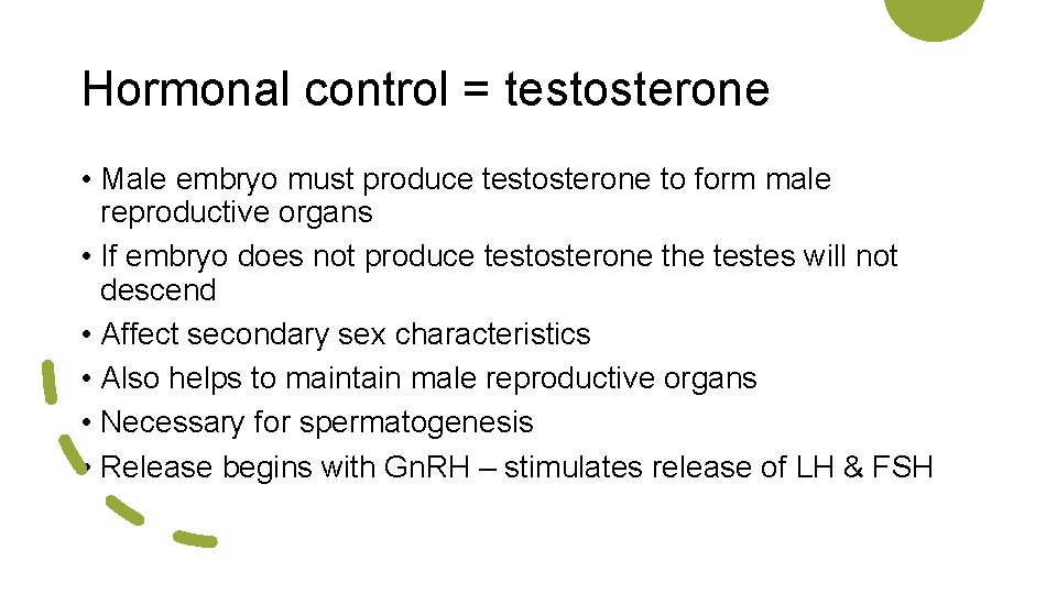 Hormonal control = testosterone • Male embryo must produce testosterone to form male reproductive